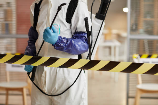Professional Biohazard Cleanup technician working in Five Points, FL